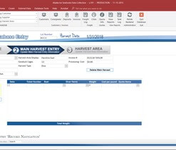 Best Microsoft Access database developer in San Antonio, TX is MS Access Solutions