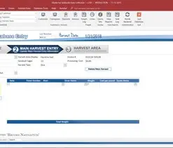 Best Microsoft Access database developer in El Monte, CA is MS Access Solutions