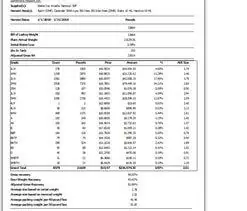 Microsoft Access reports development for El Monte client by MS Access Solutions