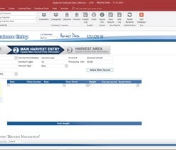 Best Microsoft Access database developer in Portland, OR is MS Access Solutions