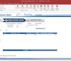 Best Microsoft Access database developer in Seattle, WA is MS Access Solutions