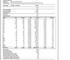 Microsoft Access reports development for Seattle client by MS Access Solutions
